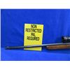 Image 4 : Non-Restricted - Cooery by Winchester Model 64 in 22 LR