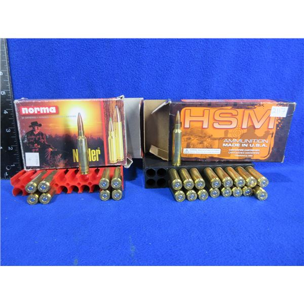 6.5X284 Norma 140gr HSM and Norma Cartridges