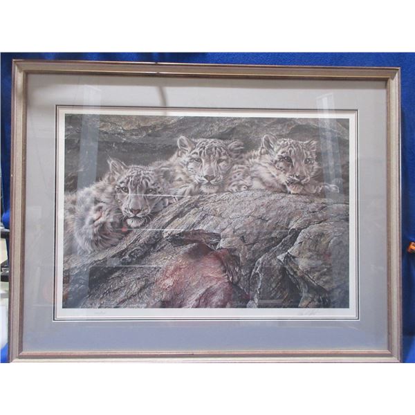 Alan M. Hunt Print - Treasures of Asia - Snow Leopards