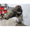 Image 3 : African Cape Buffalo Head Shoulder Mount