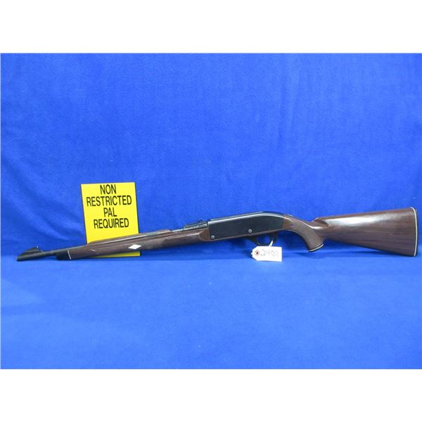 Non-Restricted - Remington Nylon 66 in 22 LR