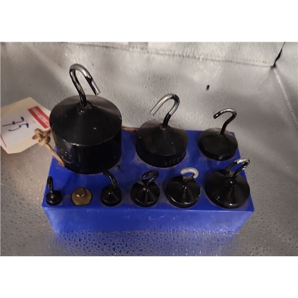 Hanging Scale Weights