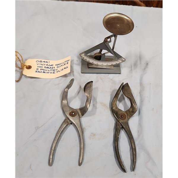 Hamilton Scale & Poultry Pliers