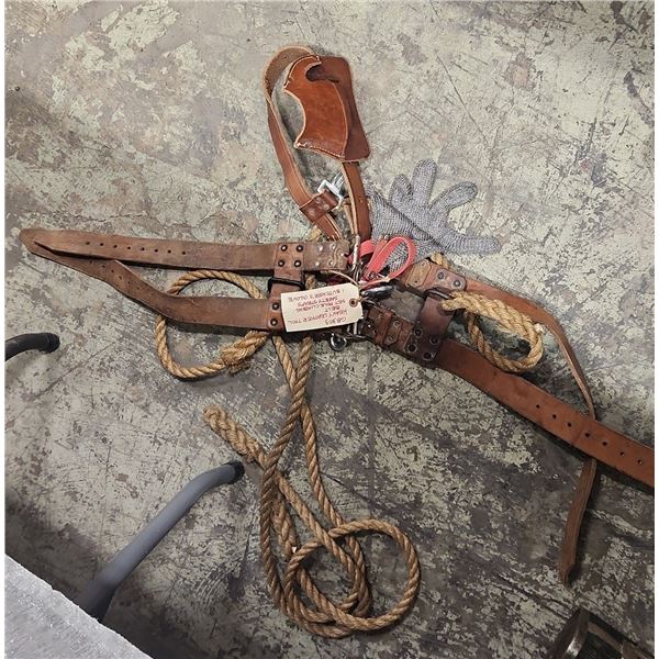 Tool Belt, Safety Straps & Butcher's Glove