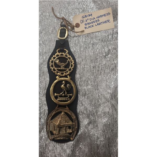 Brass Harness Decorations