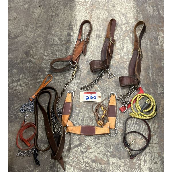 Misc Halters, Leashes & Chains