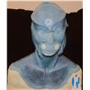 Image 2 : BLUE ALIEN HEAD AND FULL BODY APPLIANCES B