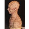 Image 2 : ALIEN FULL HEAD HERO SILICONE MASK ON LIFE CAST BUST OOAK D
