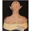 Image 3 : ALIEN FULL HEAD HERO SILICONE MASK ON LIFE CAST BUST OOAK D