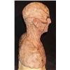 Image 4 : ALIEN FULL HEAD HERO SILICONE MASK ON LIFE CAST BUST OOAK D