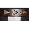 Image 1 : ZZ MEGALODON 3 LARGE REAL FOSSIL TEETH DISPLAY JAWS A