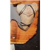 Image 2 : ZZ MEGALODON 3 LARGE REAL FOSSIL TEETH DISPLAY WITH BULL SHARK JAWS