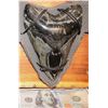Image 3 : ZZ MEGALODON 3 LARGE REAL FOSSIL TEETH DISPLAY WITH BULL SHARK JAWS