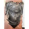 Image 4 : ZZ MEGALODON 5 LARGE REAL FOSSIL TEETH DISPLAY JAWS