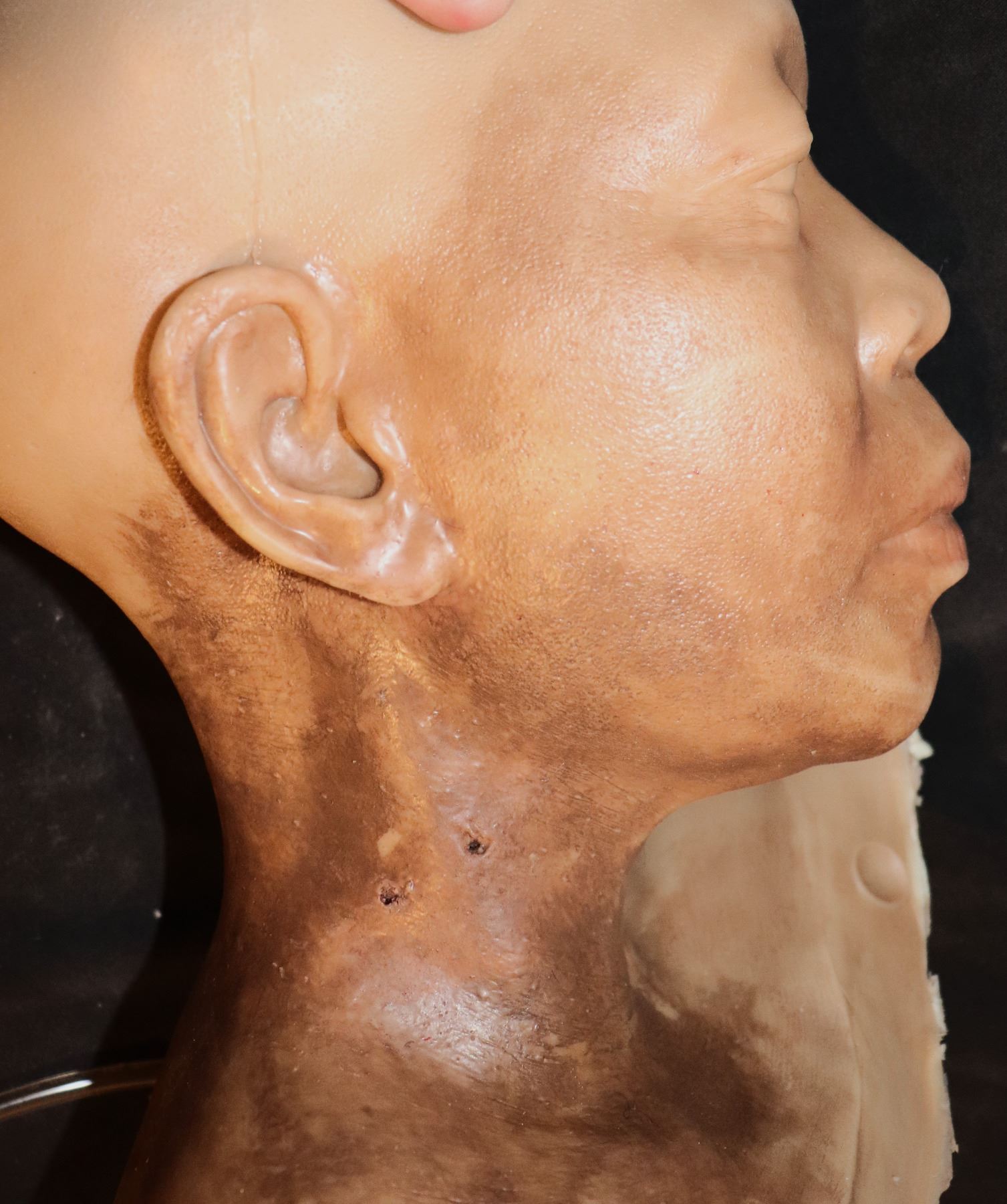 SALEM'S LOT VAMPIRE BITE SILICONE FULL HEAD CLOSE UP BLOOD RIG