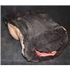 Image 2 : SURGERY SILICONE AUTOPSY FEMALE CHEST TORSO WITH NICE BREASTS