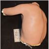 Image 1 : AMERICAN HORROR STORY SILICONE HALF CHEST TORSO CLEAN