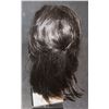 Image 1 : THE MONKEY KING LACE MATTE WIG SUPER HERO E