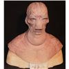 Image 1 : SILICONE ALIEN FULL HEAD HERO MASK ON LIFE CAST BUST OOAK C