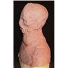 Image 2 : SILICONE ALIEN FULL HEAD HERO MASK ON LIFE CAST BUST OOAK C
