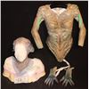 Image 1 : SPIDER WOMAN ALIEN SILICONE HEAD HANDS AND FULL TORSO