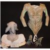 Image 3 : SPIDER WOMAN ALIEN SILICONE HEAD HANDS AND FULL TORSO