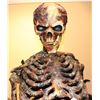 Image 3 : SCARY MOVIE 2 SKELETON PUPPET SCREEN MATCHED HERO WALKING EVIL DEAD ARMY OF DARKNESS PARODY