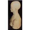 Image 2 : SCULPTING & DISPLAY FULL HEAD BUST KEEPER QUALITY C