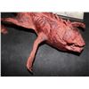 Image 3 : GUARDIANS OF THE GALAXY BLOODY ORLANI LIZARD SCREEN USED SUPER HERO