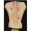 Image 1 : MATRIX "LIKE" SILICONE APPLIANCE WITH PLUGS & GUNSHOT WOUND ON FORM FOR DISPLAY