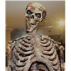 Image 3 : SCARY MOVIE 2 SKELETON PUPPET SCREEN MATCHED ANIMATRONIC SCREAMING EVIL DEAD ARMY OF DARKNESS PARODY