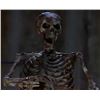 Image 5 : SCARY MOVIE 2 SKELETON PUPPET SCREEN MATCHED ANIMATRONIC SCREAMING EVIL DEAD ARMY OF DARKNESS PARODY