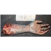 Image 2 : UNKNOWN SEVERED SILICONE ZOMBIE ARM WITH NAILS