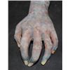 Image 3 : UNKNOWN SEVERED SILICONE ZOMBIE ARM WITH NAILS