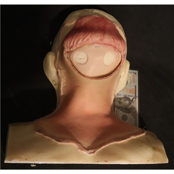 SILICONE BRAIN SURGERY APPLIANCE WITH FLAP ON BUST A