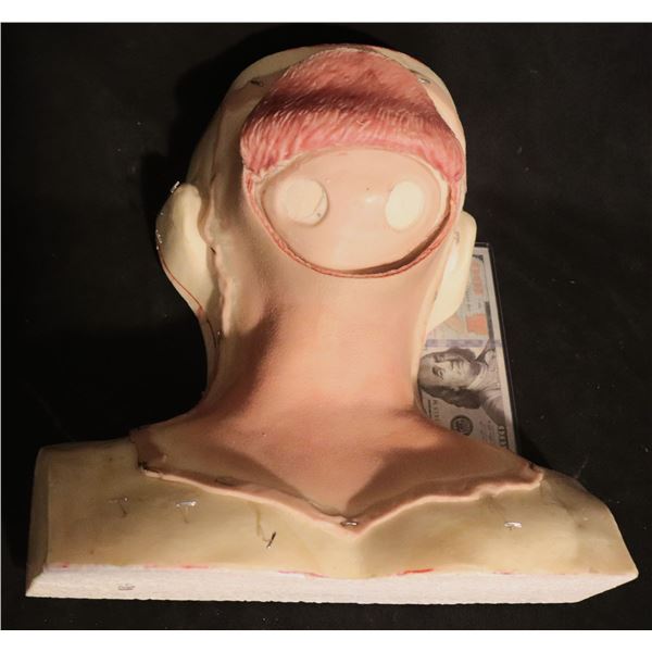 SILICONE BRAIN SURGERY APPLIANCE WITH FLAP ON BUST B