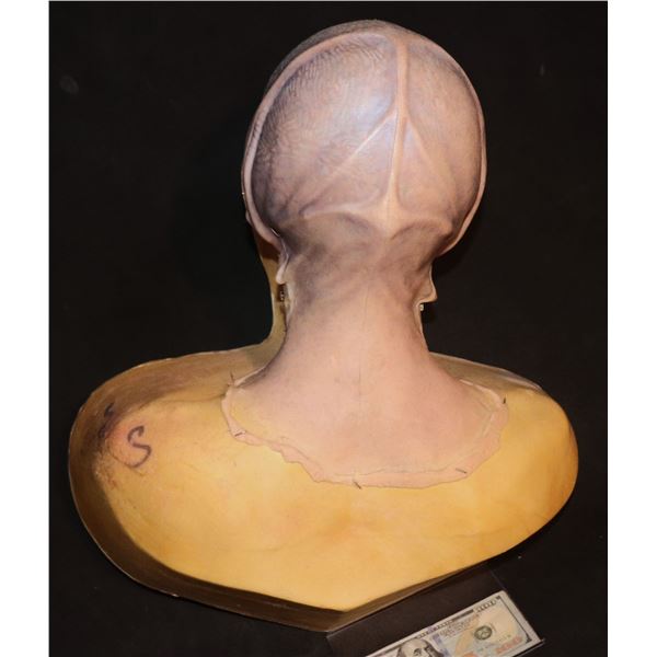 IRIDESCENT ALIEN SILICONE COWL WITH EARS ON BUST
