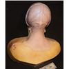 Image 1 : IRIDESCENT ALIEN SILICONE COWL WITH EARS ON BUST