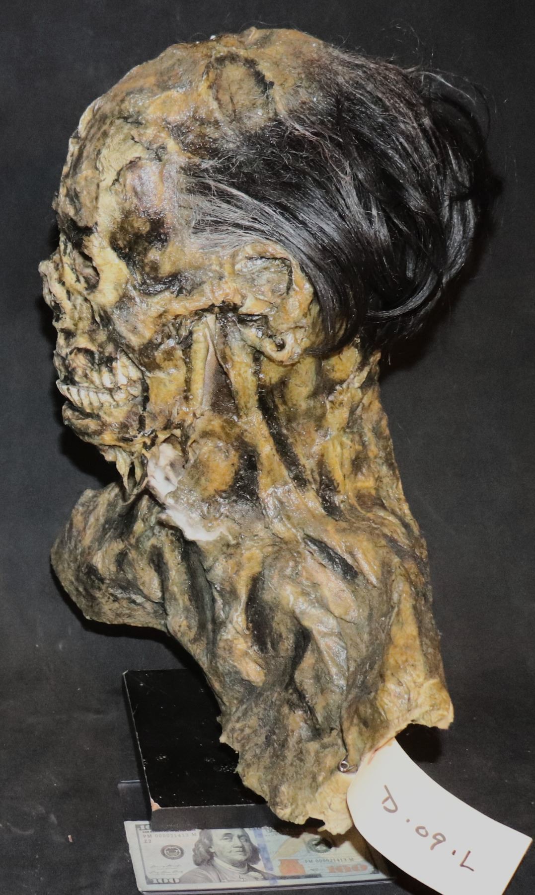 ARMY OF THE DEAD ROTTEN ZOMBIE FULL MASK WITH ZIPPER A