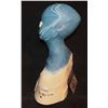 Image 2 : FEMALE BLUE ALIEN COWL AND FACE APPLIANCES ON BUST A