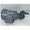 Image 2 : Yong Yuan Electric Trochoid Pump #TOP-2MA400 / #TOP-203HBMVD