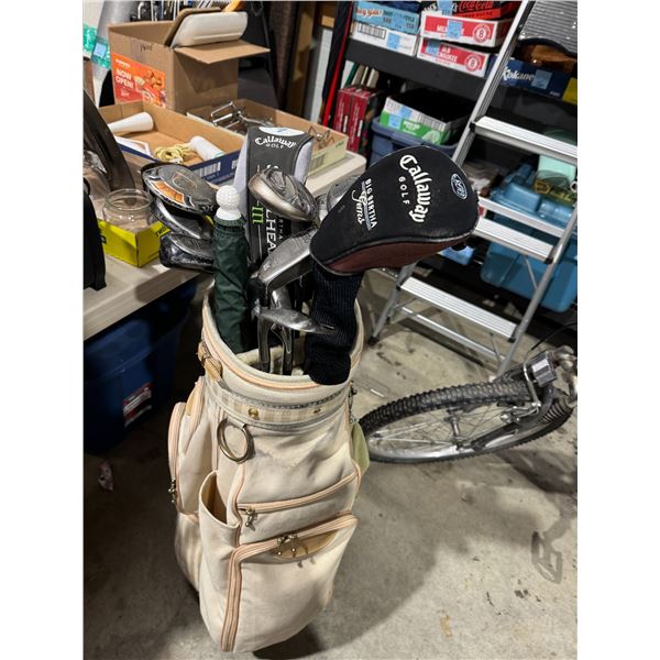 Golf clubs and bag