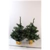 Image 1 : Artificial Table/Desk Top Christmas Trees - 25" x 12"
