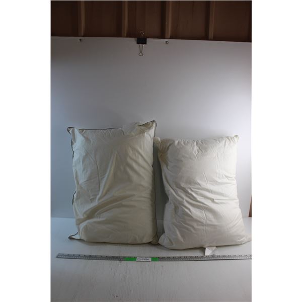 (2) Pillows 18'' x 23''