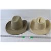 (2) Cowboy Hats