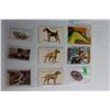 Image 3 : Vintage Tobacco, Gum & Cereal Cards - Dogs, Explorers, Westerns and Cars