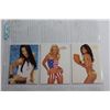 Image 2 : (3) Bench Warmers Promo Cards - Traci Bingham, Anna Marie Lytle and Amy Weber