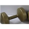 Image 3 : 10 Lb Dumbbells, some wear