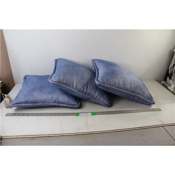 (3) Couch Pillows