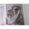 Image 3 : (4) Books- Schnauzer Dogs, Weight Loss, Diet and Vibrant Health